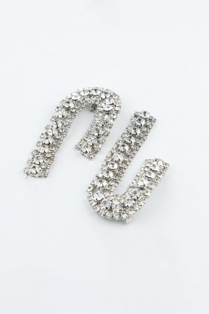 The shiny maxi earrings